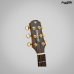 VIOLAO STRINBERG DIAMOND A&Ccedil;O FOLK DD-6SC NT SATIN