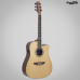 VIOLAO STRINBERG AÇO FOLK LONDON LE-50C NS NATURAL FOSCO
